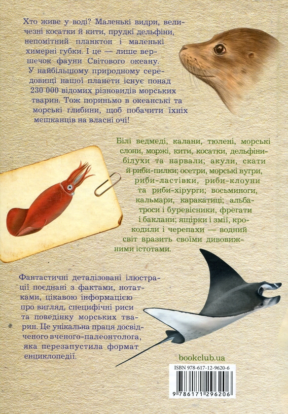 Бумажная книга «Морські тварини світу. Нотатки, малюнки та спостереження про тварин, що живуть в океані», автор Хуан Карлос Алонсо - фото №1