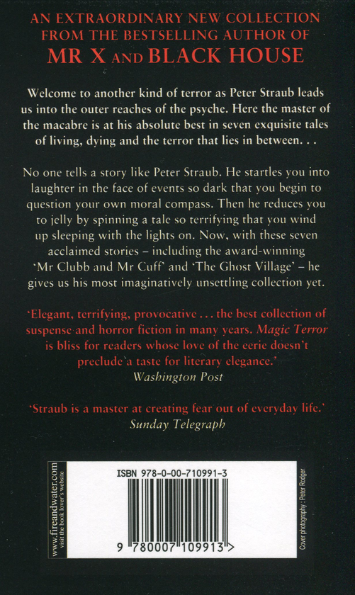 Паперова книга «Magic Terror», автор Пiтер Страуб - фото №1