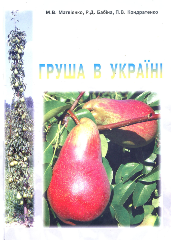 Паперова книга «Груша в Україні», авторів Петро Кондратенко, Микола Матвієнко, Раїса Бабіна - фото №1