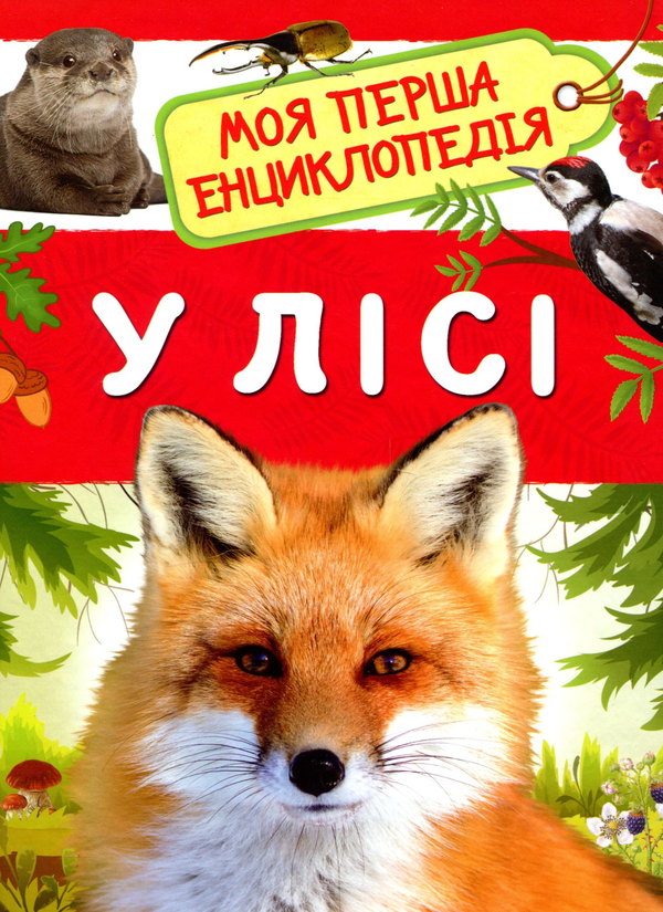 Бумажная книга «У лісі. Моя перша енциклопедія», автор Лариса Клюшник - фото №1