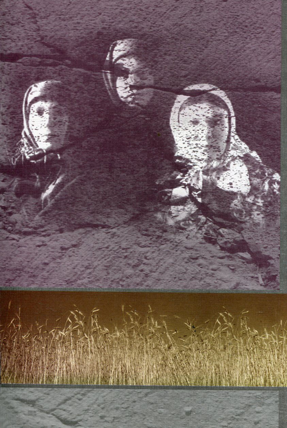 Бумажная книга «Український голокост 1932-1933. Свідчення тих, хто вижив. Том 2» - фото №1
