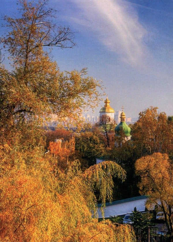 Бумажная книга «Сучасна українська літературна мова. Синтаксис складного речення», автор Марина Цилина - фото №1
