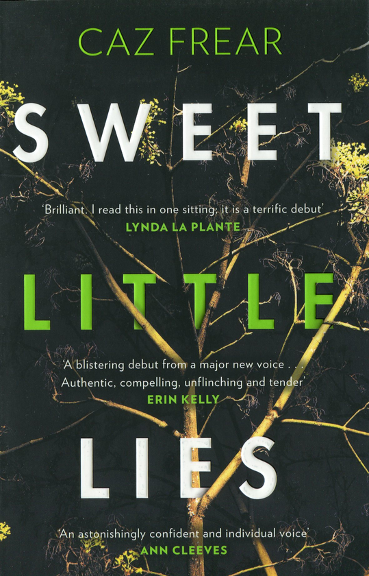 Паперова книга «Sweet Little Lies», автор Каз Фрір - фото №1