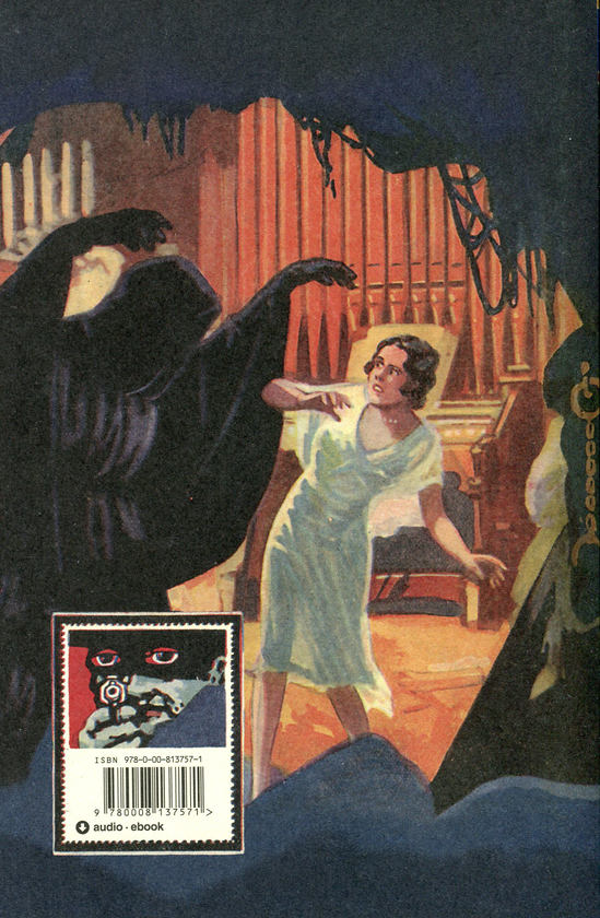 Паперова книга «The Terror », автор Едгар Уоллес - фото №1