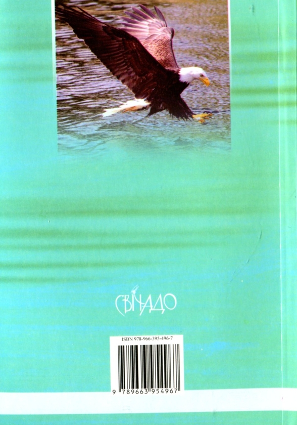 Паперова книга «Орел і гримуча змія», автор Браян Кавано - фото №1
