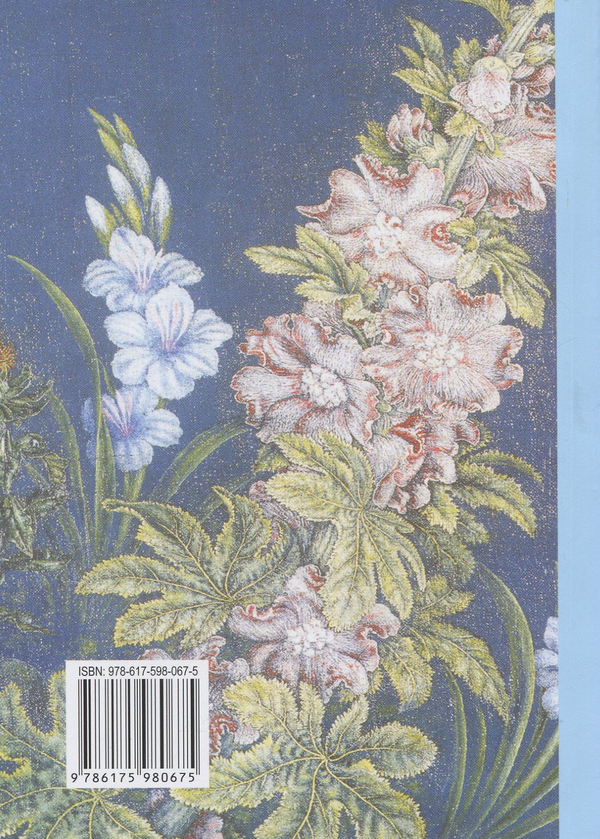 Бумажная книга «Розмовляймо українською. Основний курс. У трьох частинах. Частина третя», автор Галина Макарова - фото №1