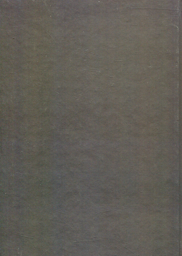 Паперова книга «Геральдика та фалеристика», автор Петро Нестеренко - фото №1