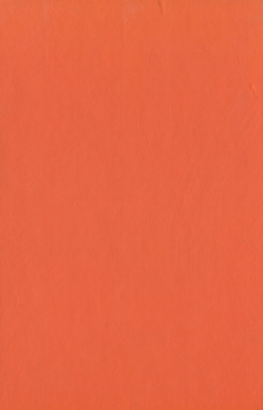 Бумажная книга «Благослови вогнем», автор Екатерина Мандрик-Куйбида - фото №1