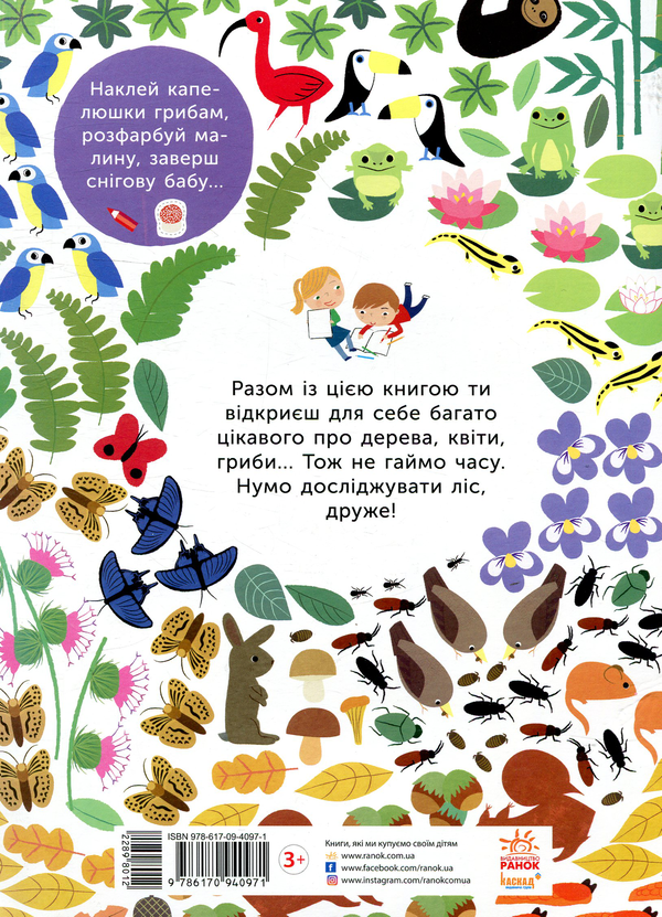 Паперова книга «У лісі», автор Олівія Косно - фото №1