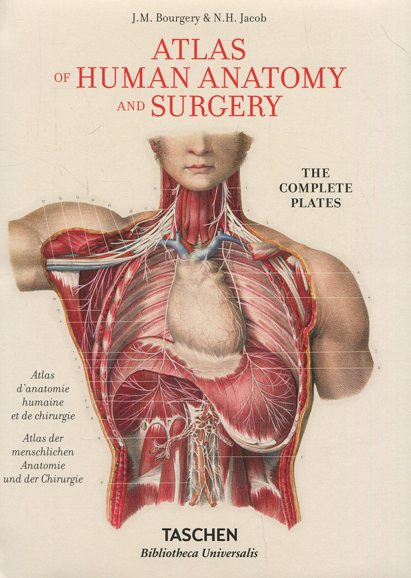 ATLAS OF HUMAN ANATOMY AND SURGERY 洋書　解剖 Книга «Atlas of Human Anatomy and Surgery» – Жан Марк Боржери