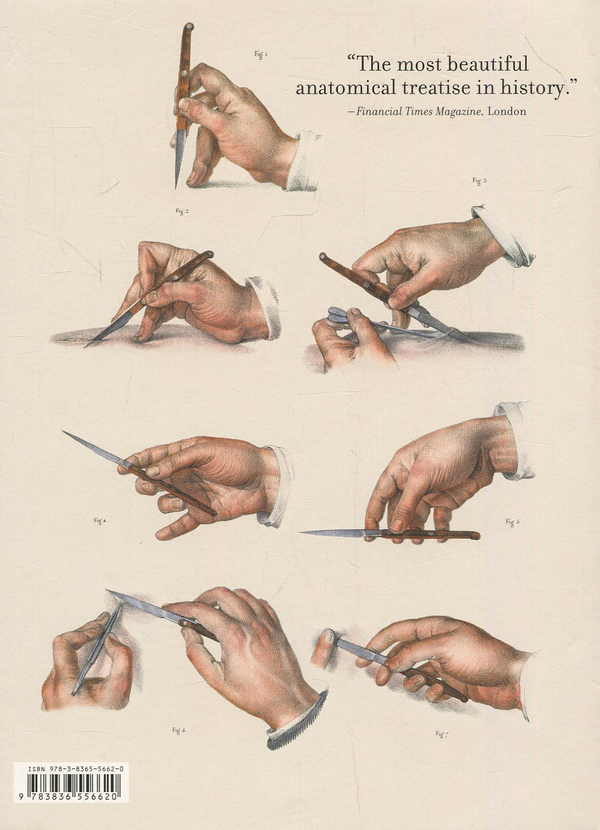 Книга «Atlas of Human Anatomy and Surgery» – Жан Марк Боржери