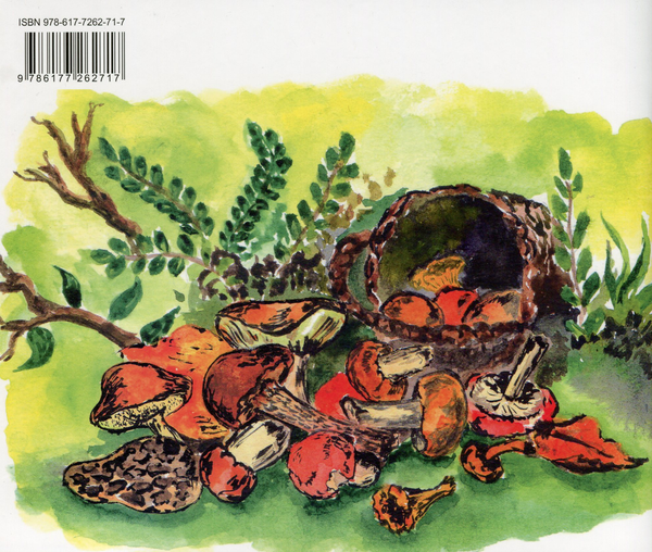 Бумажная книга «Абетка грибничка», автор Сергей Пантюк - фото №1