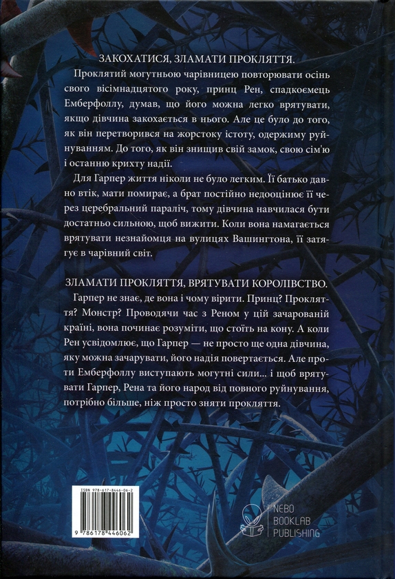 Бумажная книга «Прокляття чорне та самотнє», автор Бриджид Кеммерер - фото №1