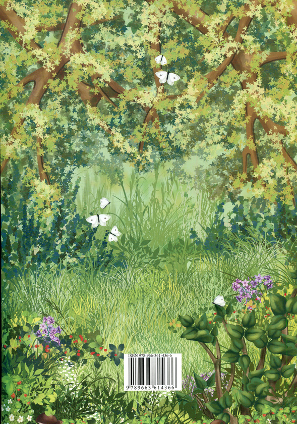 Бумажная книга «Дідусева казка», автор Александр Богачук - фото №1