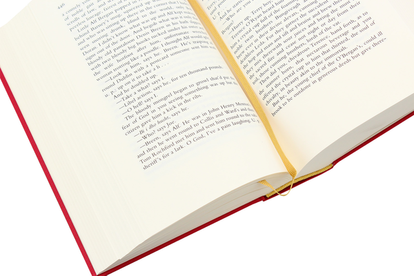 Бумажная книга «Ulysses», автор Джеймс Джойс - фото №1