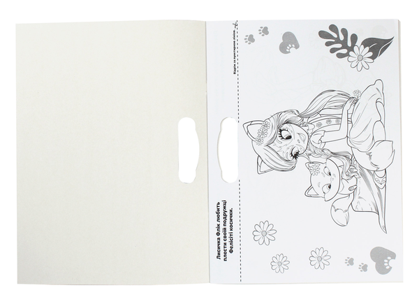Бумажная книга «Enchantimals» - фото №1