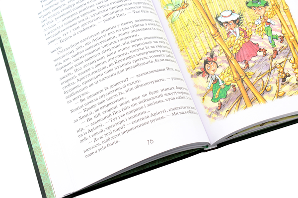 Бумажная книга «Роздобудьки в полі. Книга 2», автор Мэри Нортон - фото №1