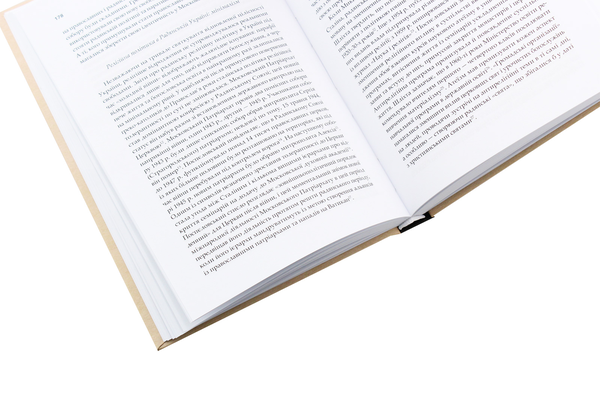 Паперова книга «Православна Церква в Україні. Століття розділень», автор Микола Денисенко - фото №1