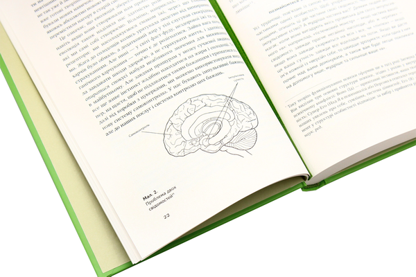 Бумажная книга «До безмежних властивостей (комплект із 3 книг)», авторов Келли Макгонигал, Хэл Элрод, Кристофер Макдугал - фото №1