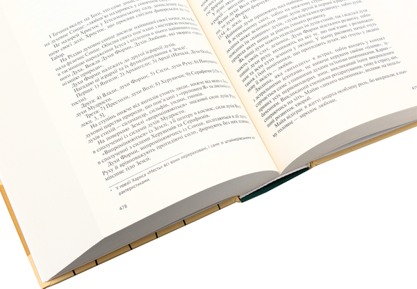 Бумажная книга «Його таємниця, або Прекрасна ложа Хвильового», автор Леонид Плющ - фото №1