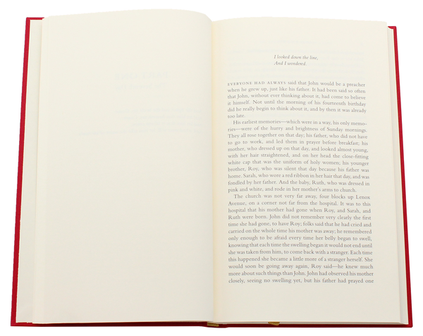 Бумажная книга «Go Tell It on the Mountain», автор Джеймс Болдуин - фото №1