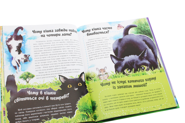 Паперова книга «Про все на світі. Відповіді чомучкам», автор Мар'яна Нечай - фото №1