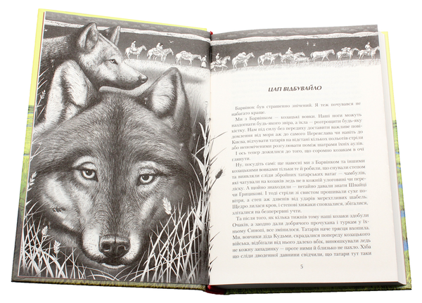 Бумажная книга «Джури (комплект із 4 книг)», автор Владимир Рутковский - фото №1
