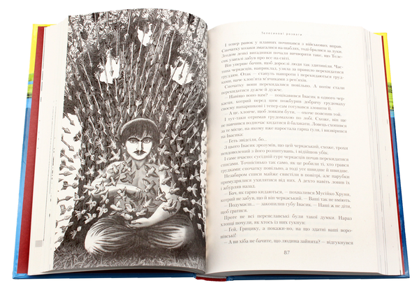 Бумажная книга «Джури (комплект із 4 книг)», автор Владимир Рутковский - фото №1
