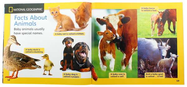 [object Object] «Our World 1: Too Many Animals Big Book», авторів Джоан Крендал, Джоан Канґ Шін - фото №5 - мініатюра