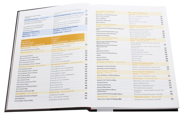 Бумажная книга «Atlas of Human Anatomy / Атлас анатомії людини», автор Фрэнк Неттер - фото №1