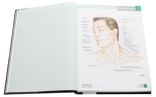 Бумажная книга «Atlas of Human Anatomy / Атлас анатомії людини», автор Фрэнк Неттер - фото №1