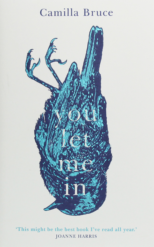 Паперова книга «You Let Me In», автор Камілла Брюс - фото №1