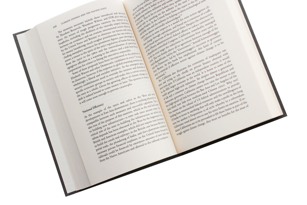 Паперова книга «Climate Change and the Nation State. The Realist Case», автор Анатолій Лівень - фото №1