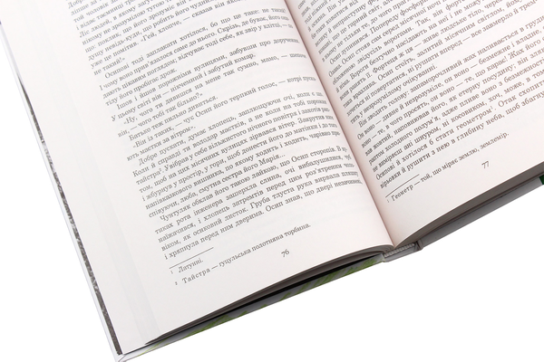 Бумажная книга «Порослий кульбабами дворик. У двох книгах (комплект із 2 книг)», автор Валерий Шевчук - фото №1