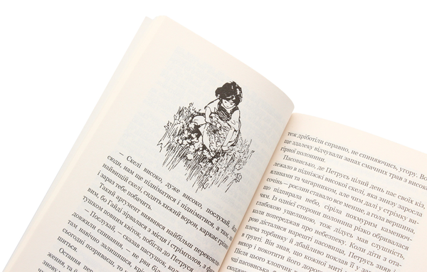 Паперова книга «Пригоди Гайді (комплект із 2 книг)», автор Йоганна Шпіра - фото №1