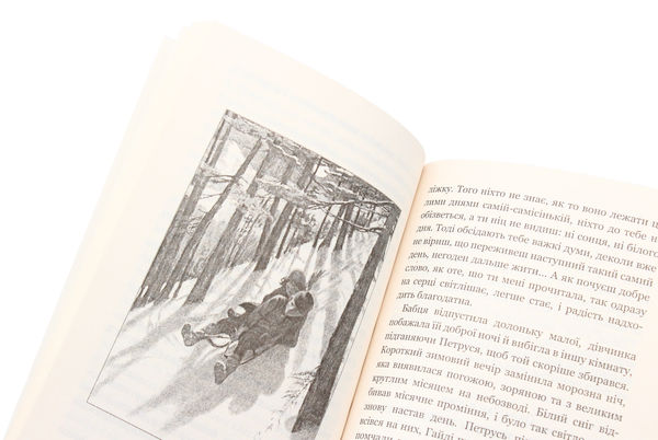 Паперова книга «Гайді. Пригоди тривають», автор Йоганна Шпіра - фото №1