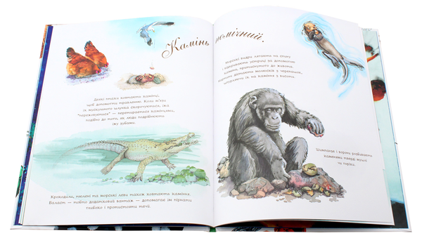 Бумажная книга «Камінь живий», автор Диана Гуттс Астон - фото №1
