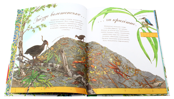 Бумажная книга «Гніздо галасливе», автор Диана Гуттс Астон - фото №1