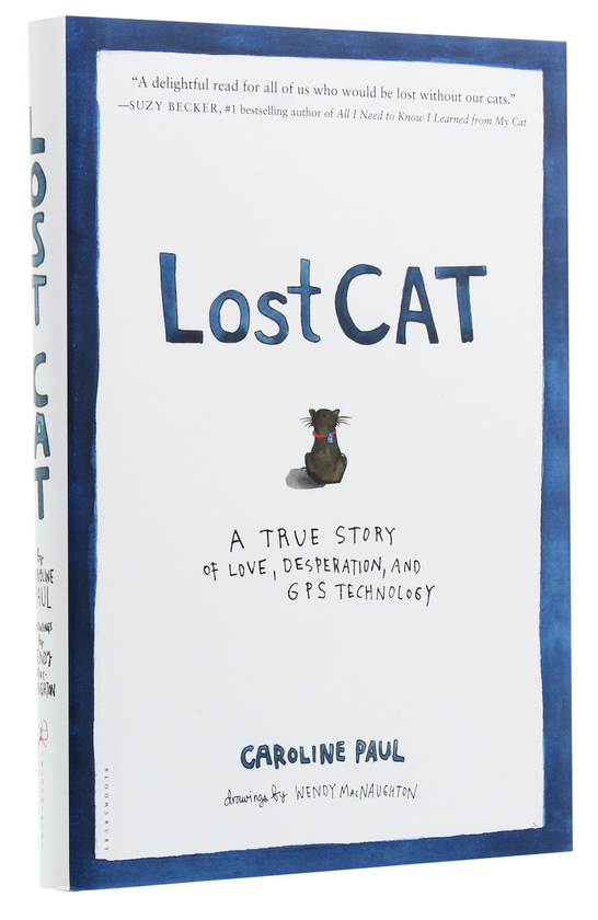 Бумажная книга «Lost Cat», автор Кэролайн Пауль - фото №1