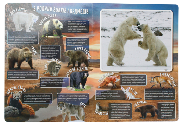 Паперова книга «Дивовижні тварини» - фото №1