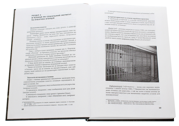 Паперова книга «Пенітенціарна система України», автор Дмитро Ягунов - фото №1