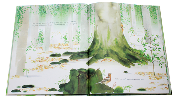 Бумажная книга «Little Sap. The Magical Story of a Forest Family», автор Ян Хьюз - фото №1