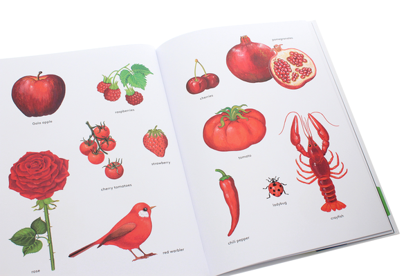 Бумажная книга «Orange Is an Apricot, Green Is a Tree Frog», автор Паскаль Эстеллон - фото №1