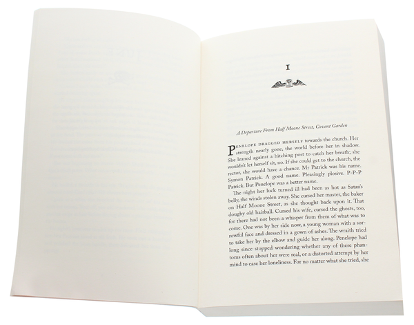 Бумажная книга «The Plague Letters», автор В. Л. Валентайн - фото №1