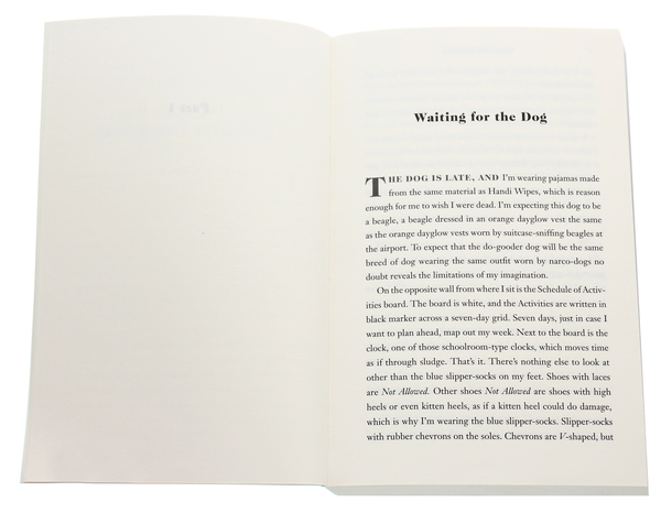 Бумажная книга «Rabbits for Food», автор Бинни Киршенбау - фото №1