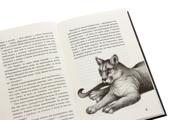 Бумажная книга «Діти лісу. Книга 3. Таємниця Голлі», автор Катя Брандис - фото №1