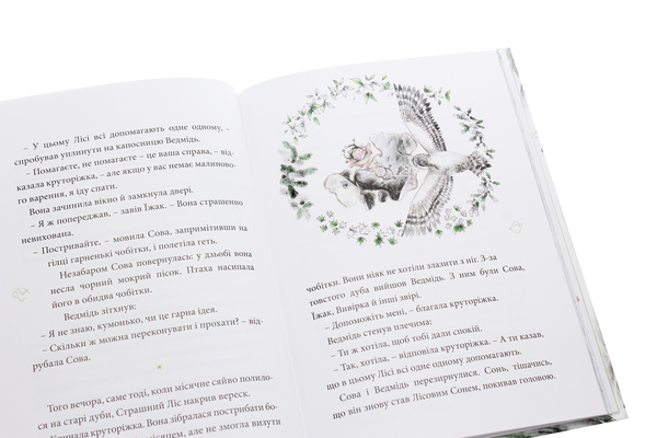 Бумажная книга «Круторіжка у страшному лісі», автор Яна Бауэр - фото №1