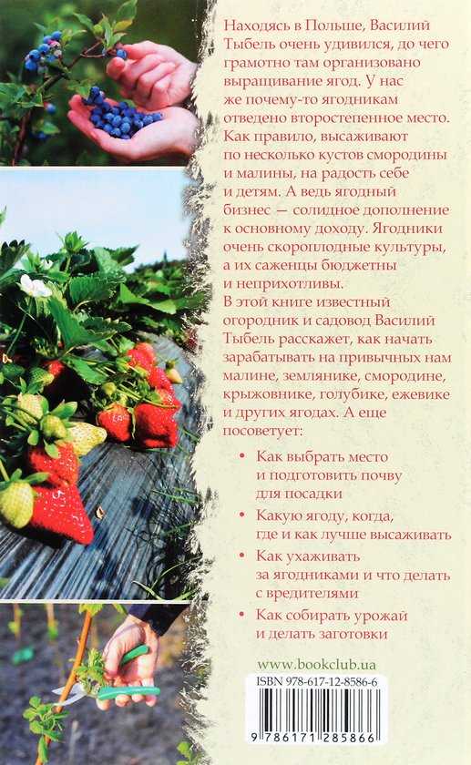 [object Object] «Ягодные культуры. Сорта, посадка, выращивание и уход», автор Василь Тибель - фото №2 - мініатюра