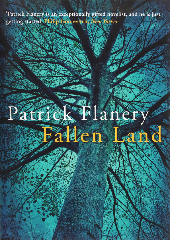 Бумажная книга «Fallen Land», автор Патрик Флэнери - фото №1
