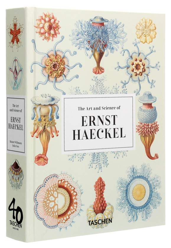 Бумажная книга «Haeckel», авторов Джулия Восс, Райнер Вильманн - фото №1